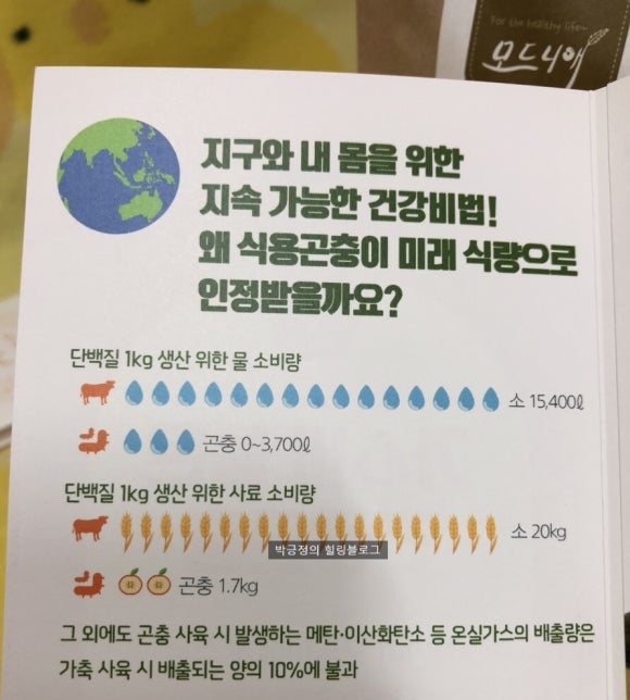 모드니애슈퍼푸드 이미지