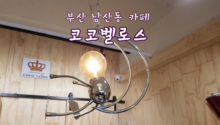 코코벨로스 이미지