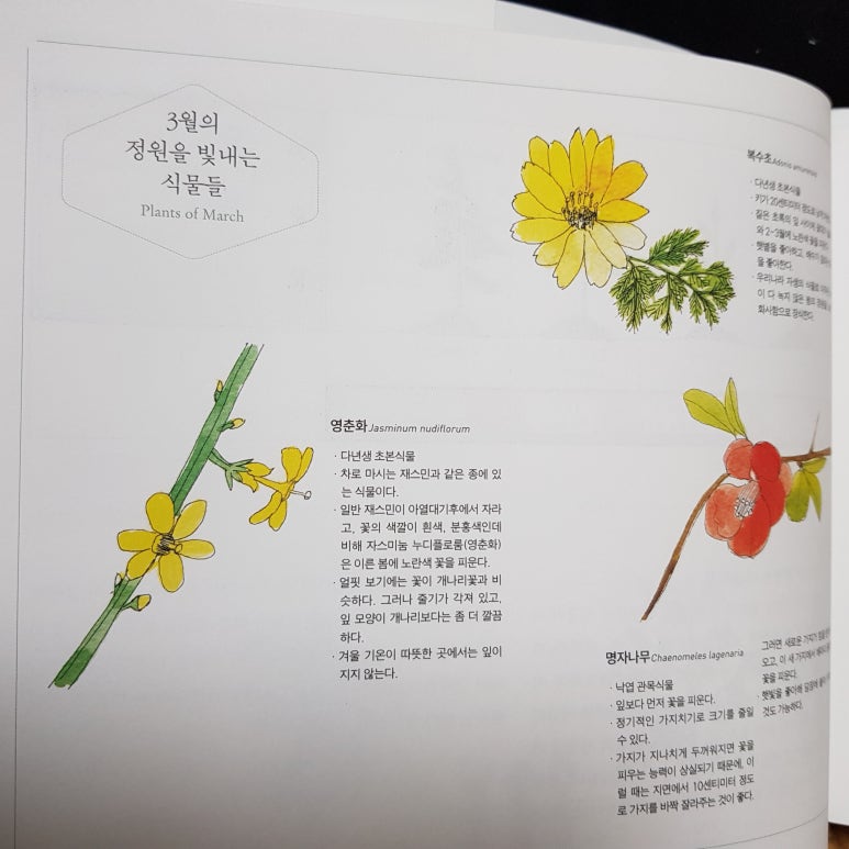 가드너의열두달 이미지