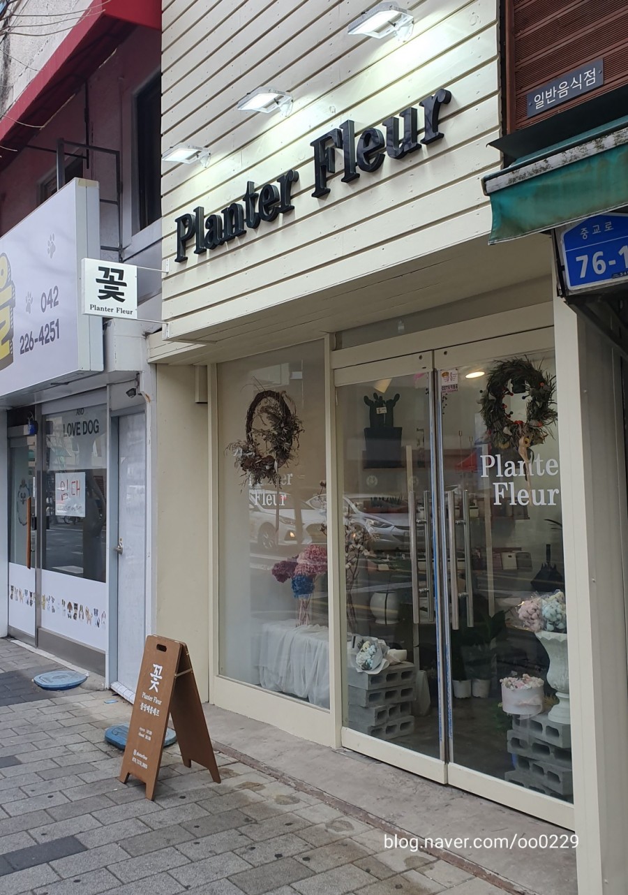 플랑떼플레르 이미지