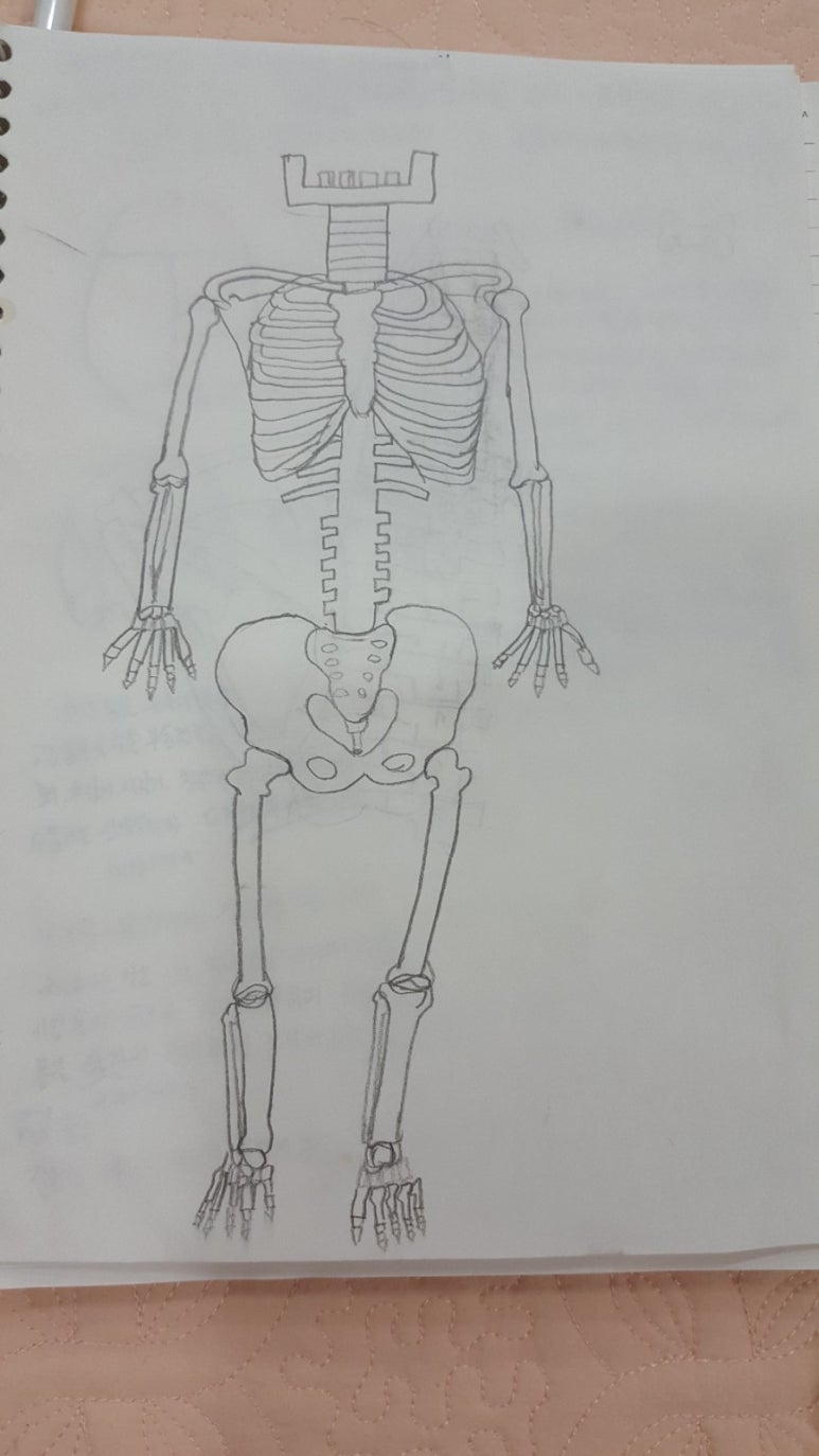 박선생테라피 이미지