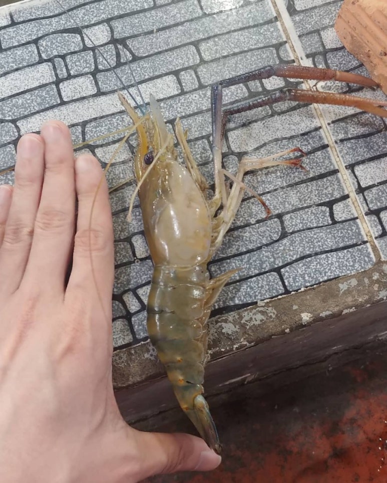 브리즈피시방 이미지
