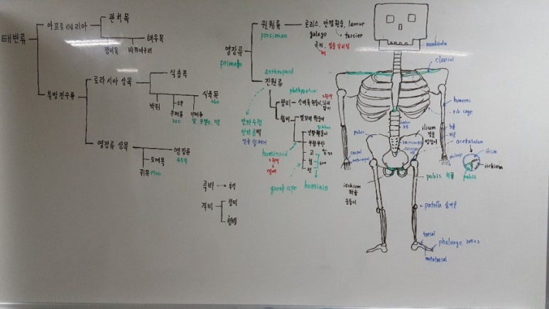 박선생테라피 이미지
