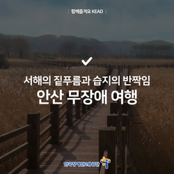 (주)상록엘리베이터 이미지