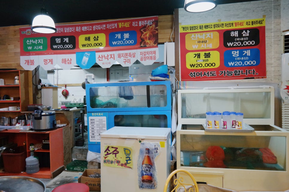 살아있네산곰장어 이미지