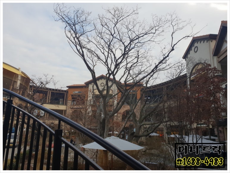시흥라움에디션 이미지