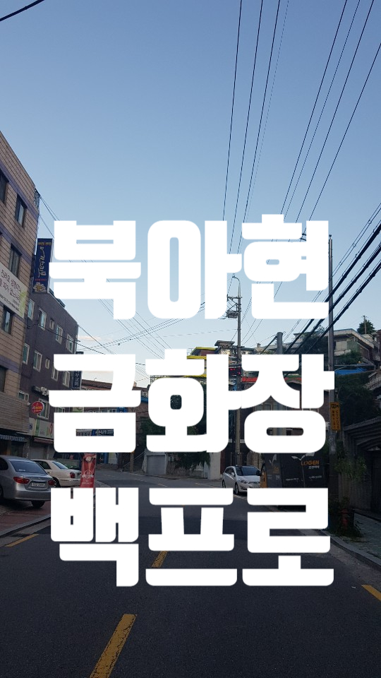 금화장 이미지