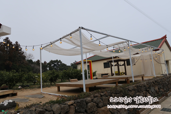 삼달리귤 이미지