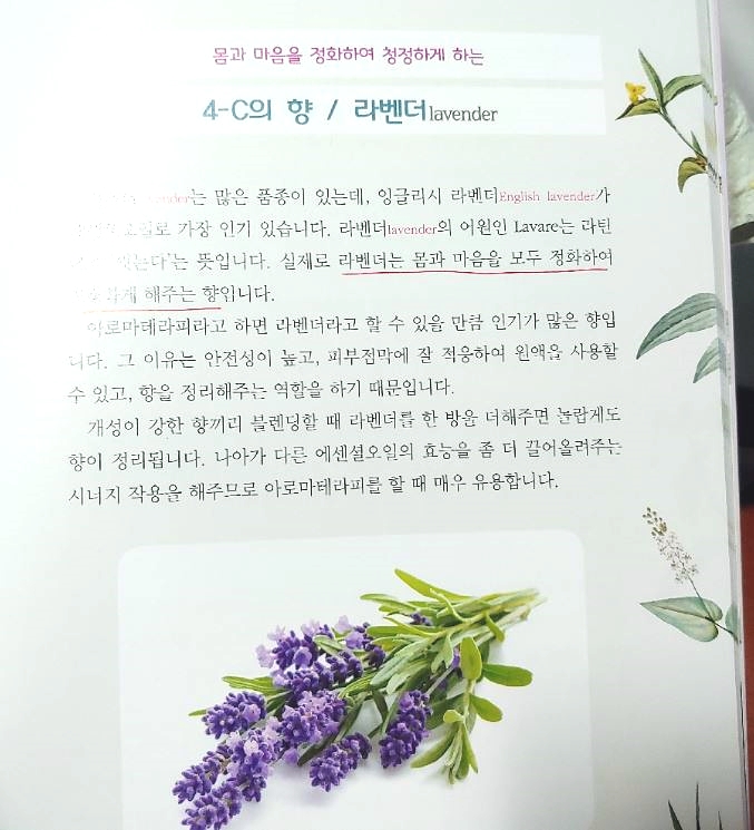 서재아로마 이미지