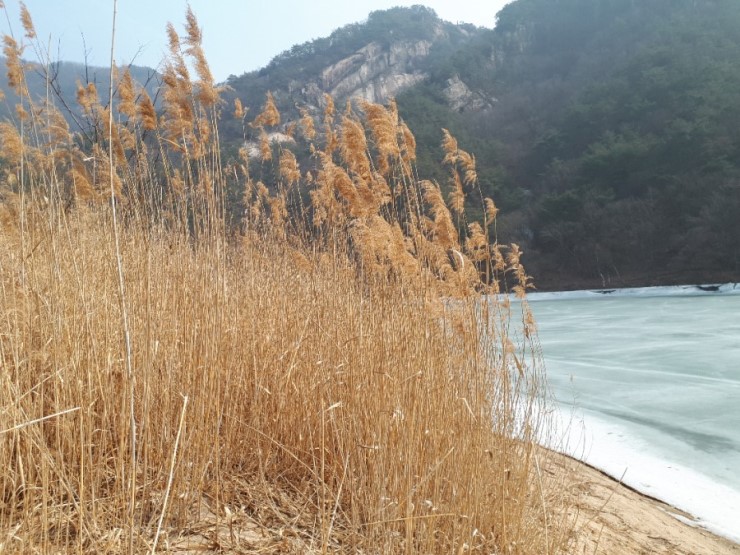 각시와신랑 이미지