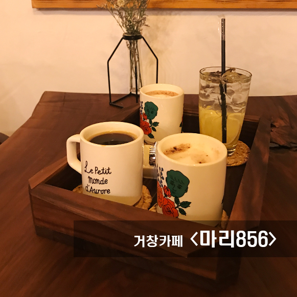 마리856 이미지