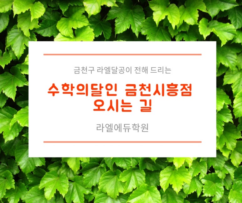 라엘에듀 이미지