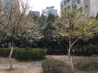 또;봄 이미지