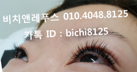 비치앤레푸스 이미지