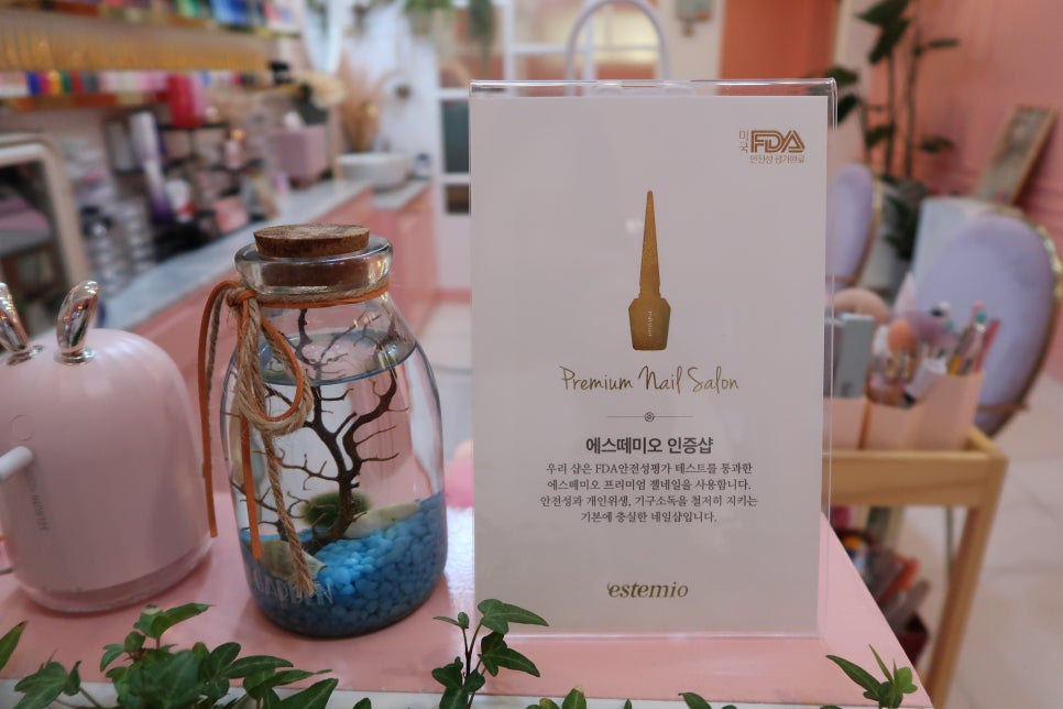 몽드에스떼 이미지