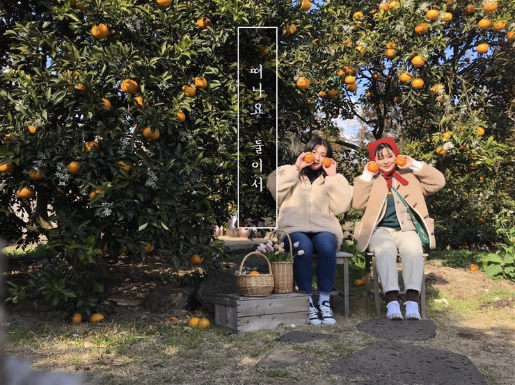 재연농원 이미지