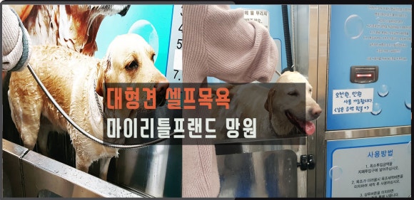 싸다요 이미지