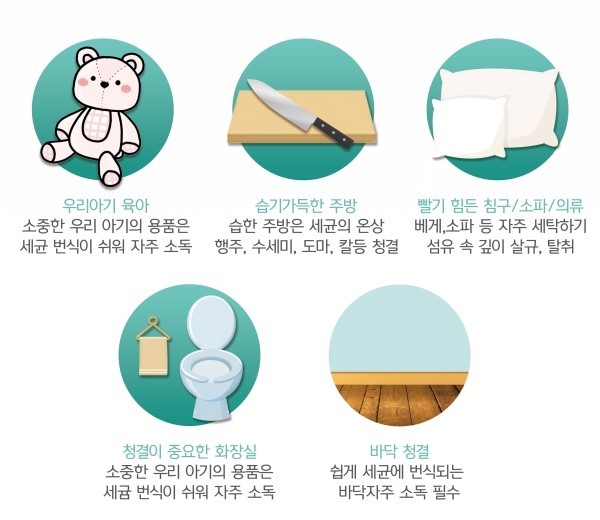 점프노리 이미지