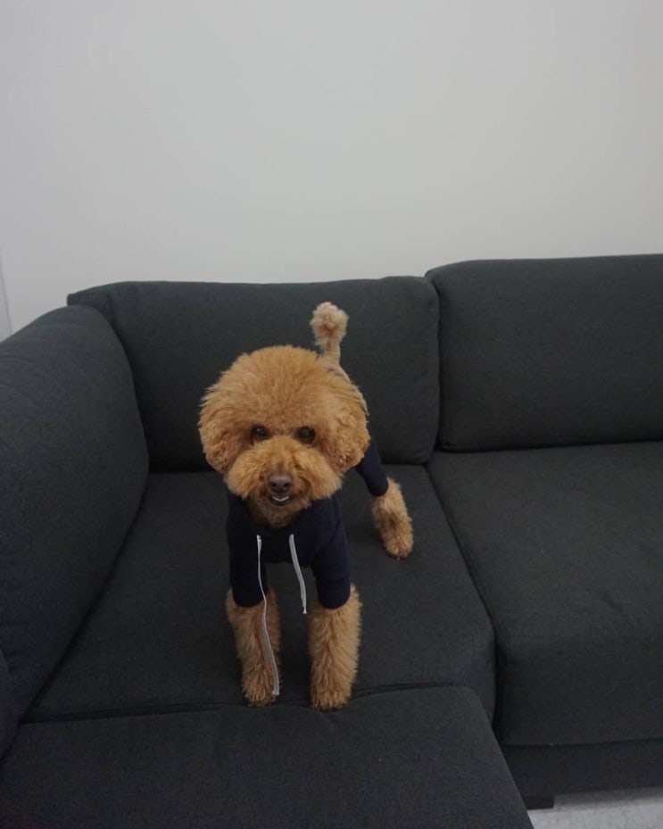 스테이도도 이미지