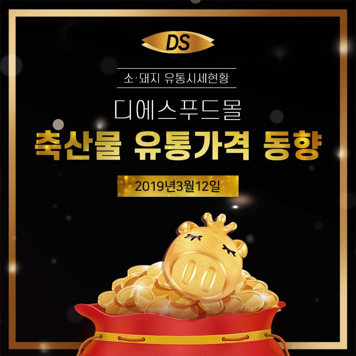 디에스유통 이미지