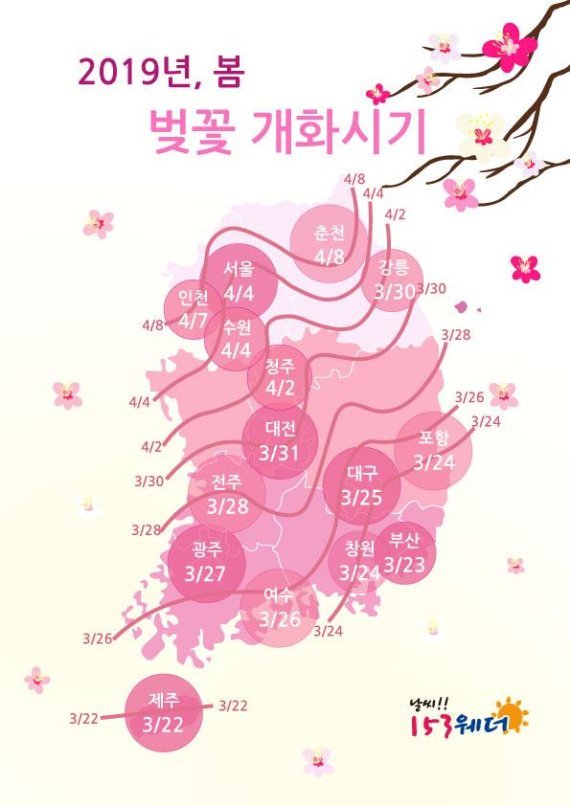 벚꽃눈썹 이미지