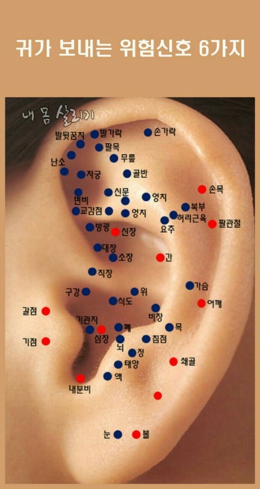 청주상사 이미지