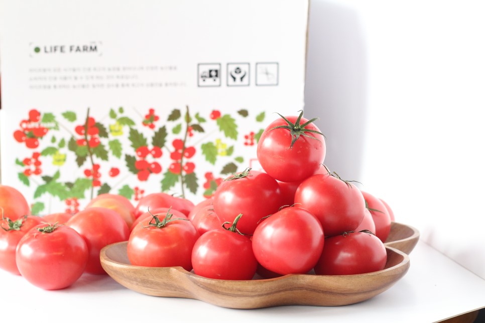 팜라이프 이미지