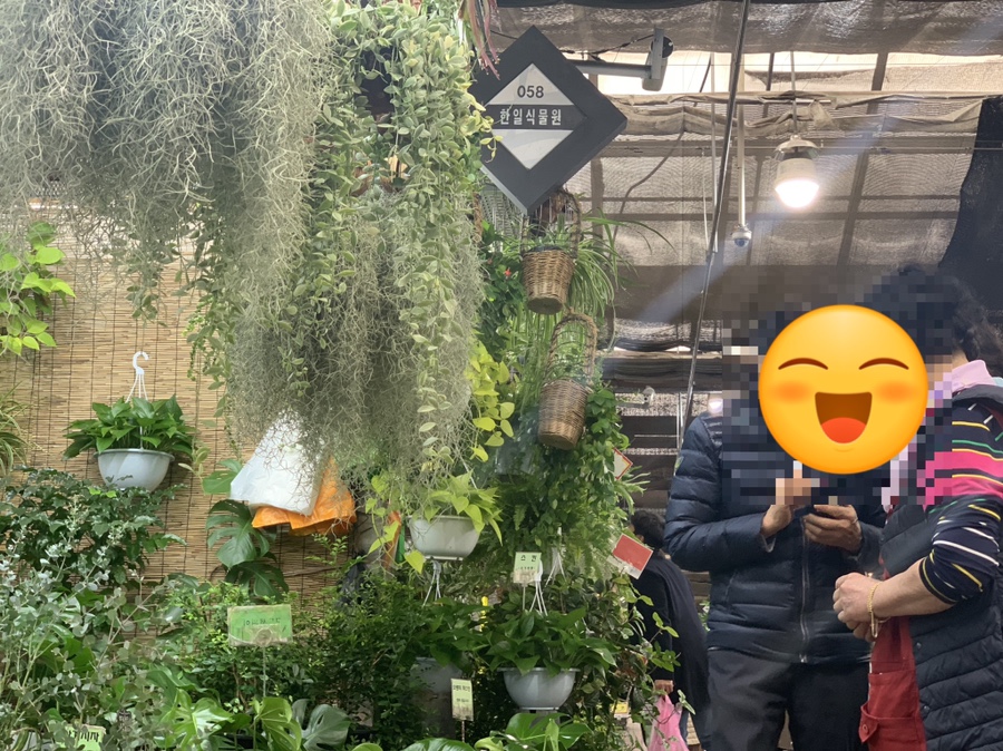 한일꽃식물원 이미지
