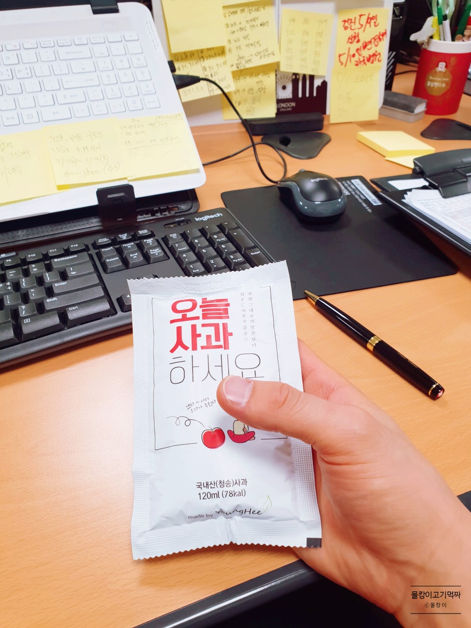 주산지애플 이미지