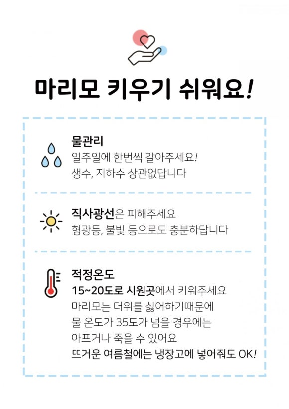 카페마리모 이미지