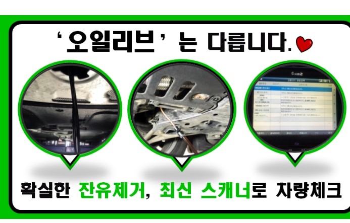 오일리브 이미지