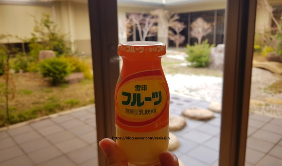 선상활어회 이미지