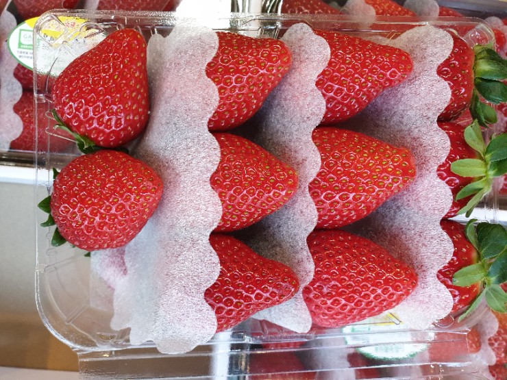 잇츠디프런트 이미지