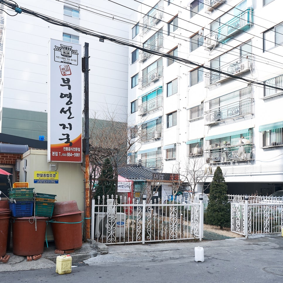 부영골 이미지