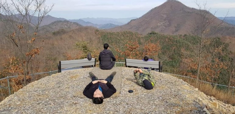 노아의숲 이미지