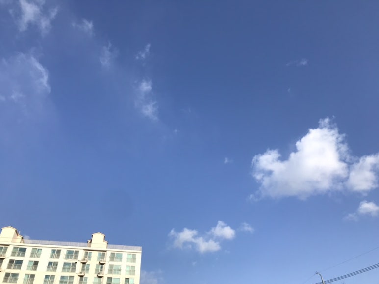 브런치카페쿡 이미지