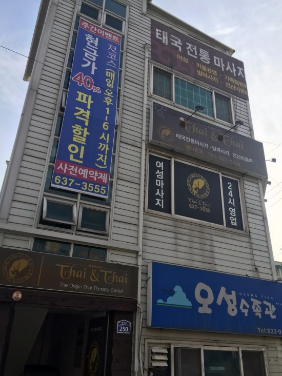 타이앤타이 이미지