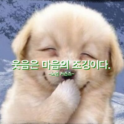 코아월드 이미지