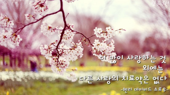 SM광고 이미지