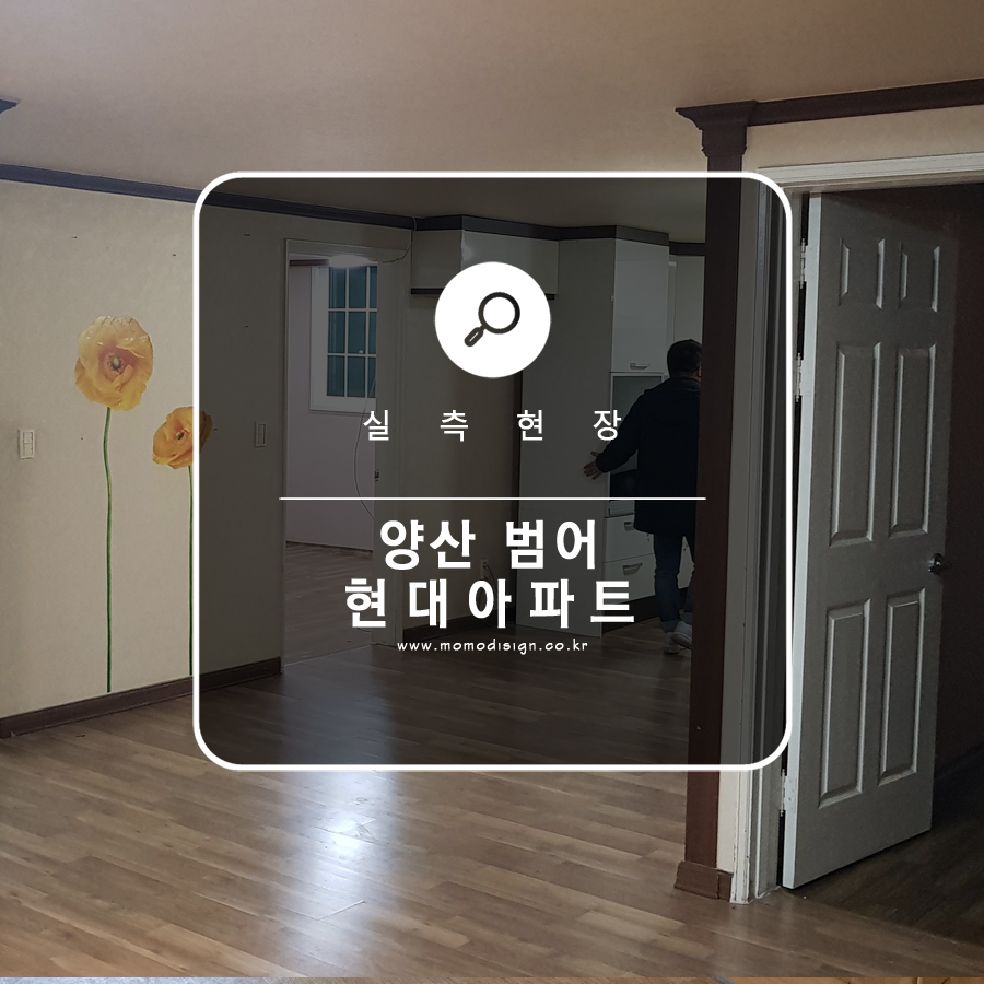 모모디자인 주식회사 이미지