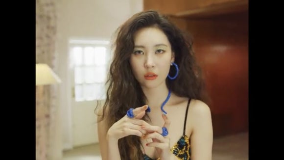 누아르헤어 이미지