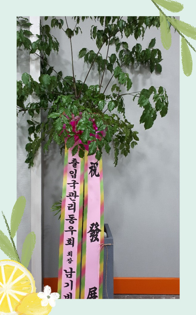 세진세무회계 이미지
