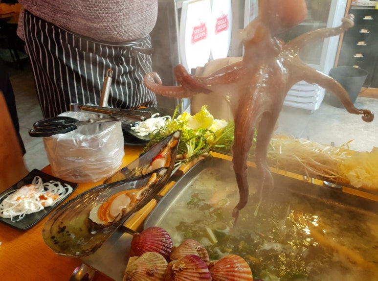 조개를탐하다 이미지
