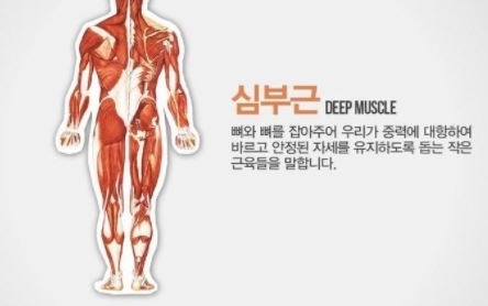 플러스휘트니스 이미지