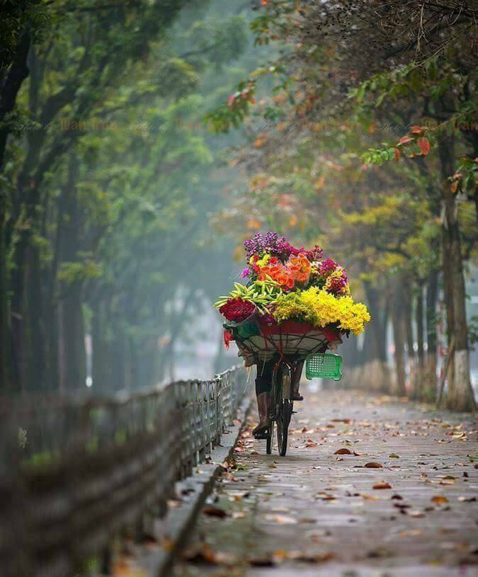 바람과노래 이미지