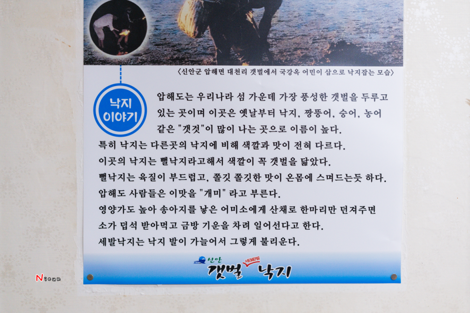 신안갯벌세발낙지 이미지