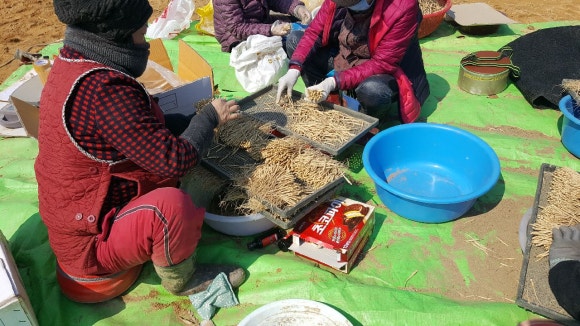 일꾼인력, 용역 이미지