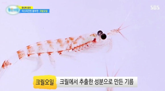 오일하우스 이미지