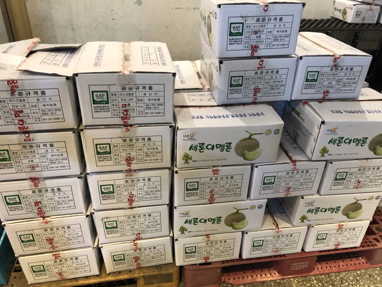 초심청과 이미지