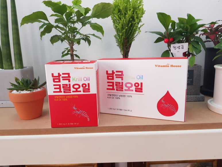 오일하우스 이미지
